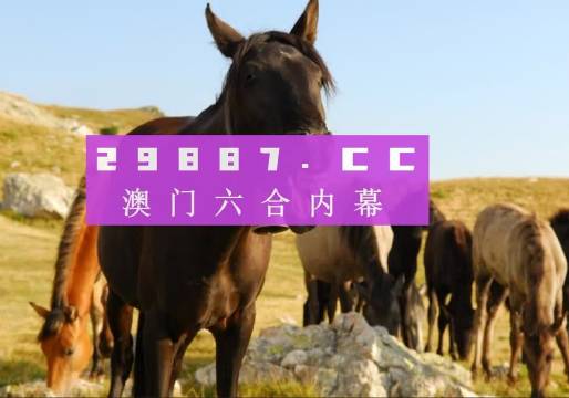 奥门管家婆一肖一码一中一|精选资料解析大全