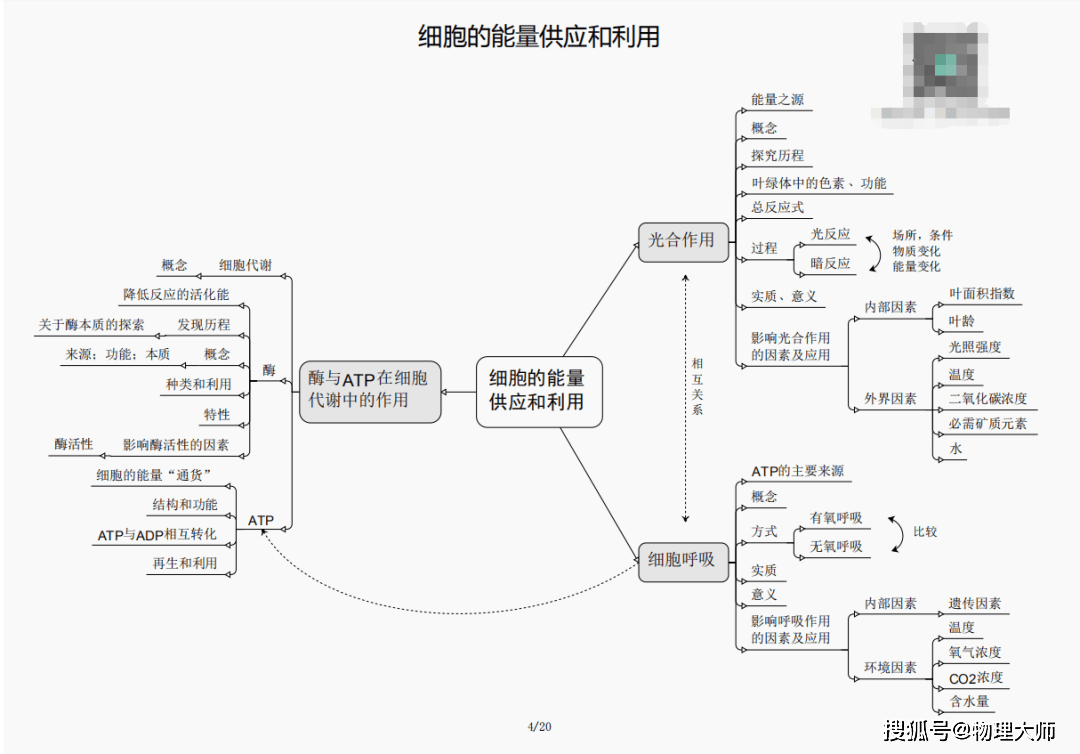 刘伯温三期必出一期白小姐|精选资料解析大全