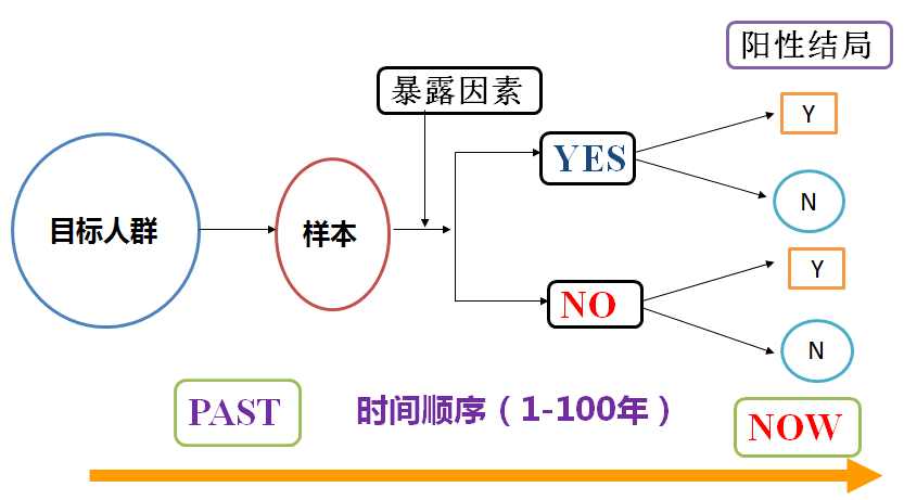 2024新奥门天天开好彩大全85期|精选资料解析大全