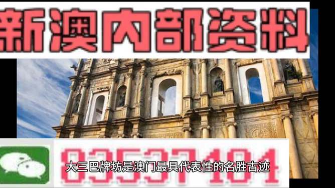 2024新澳精准正版资料109|精选资料解析大全