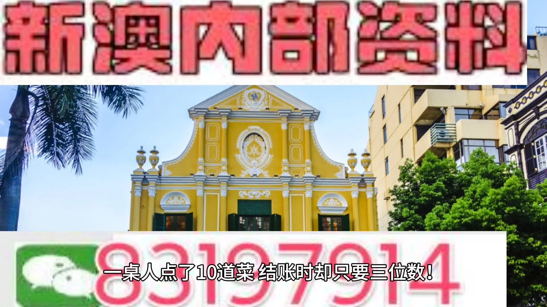 新澳精准资料免费提供267期|精选资料解析大全