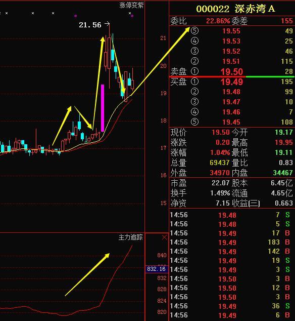 深赤湾a最新消息