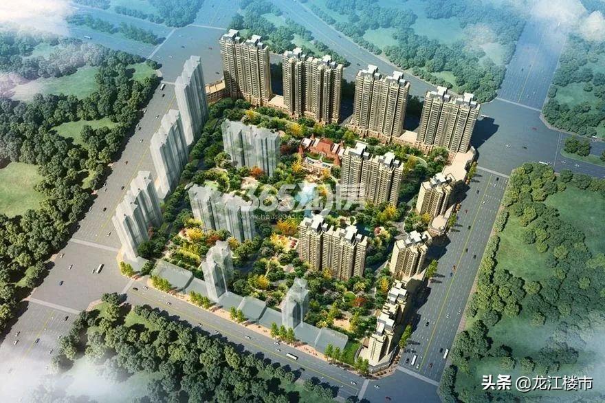 资讯 第571页