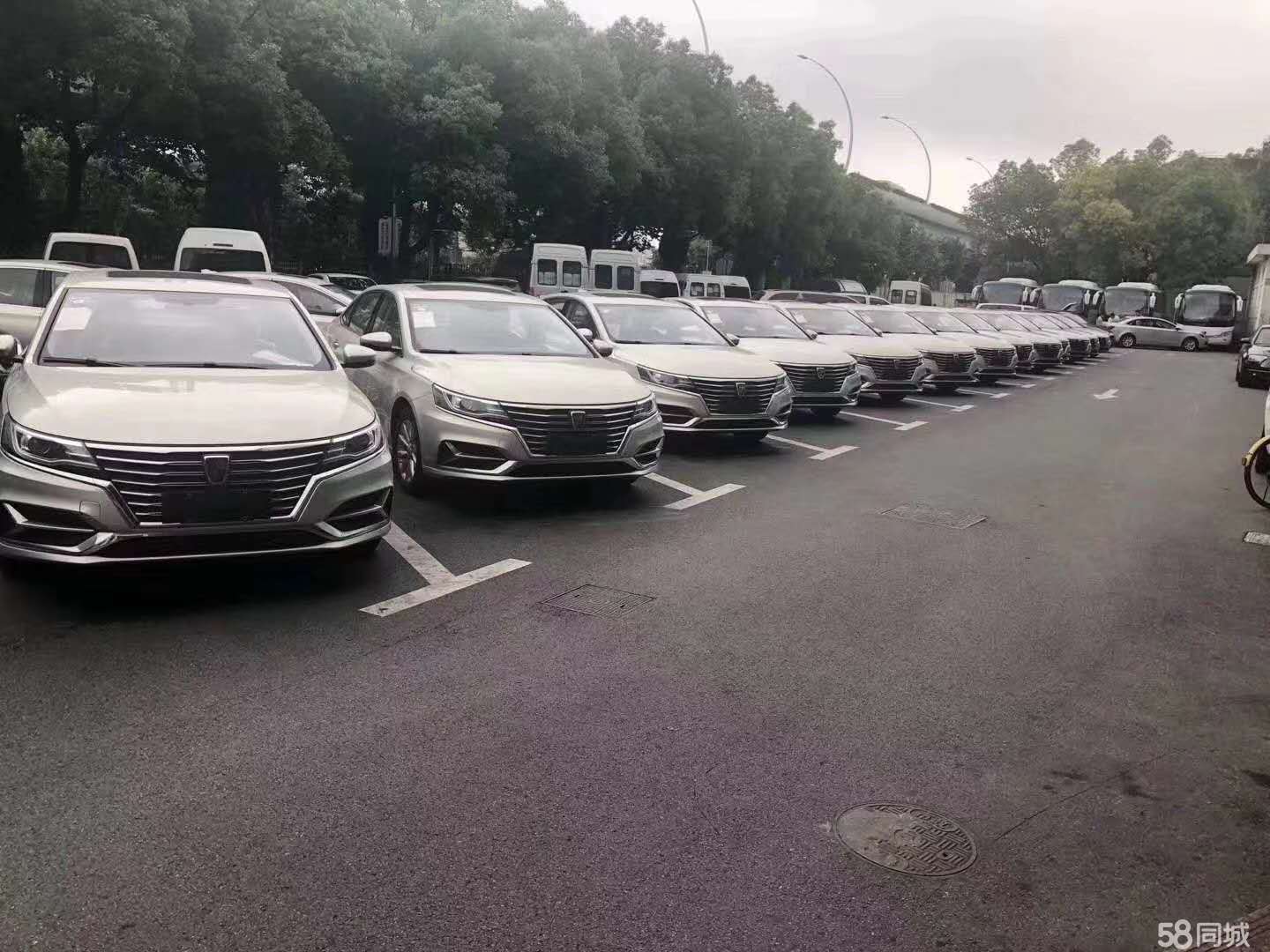 上海Y牌网约车最新消息