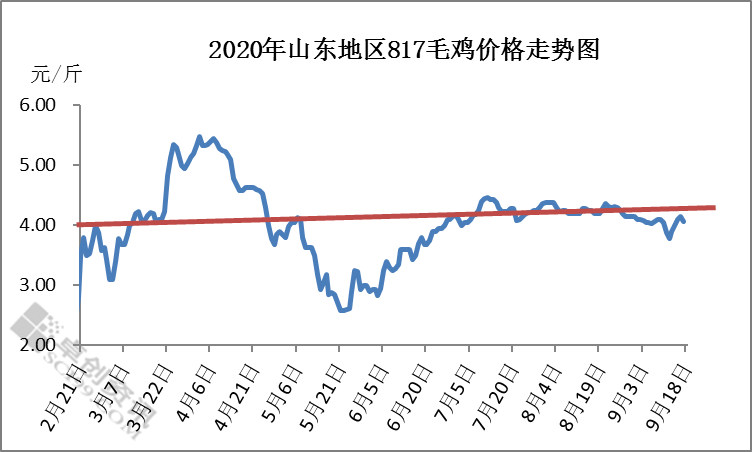 肉毛鸡价格最新行情走势