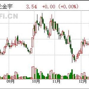 赛轮金宇最新十大股东