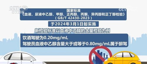 2025澳门最精准正最精准龙门,探索澳门未来，2025年最精准龙门展望