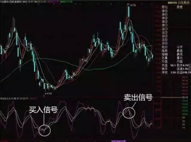 管家一码中一肖,揭秘管家一码中一肖的神秘面纱