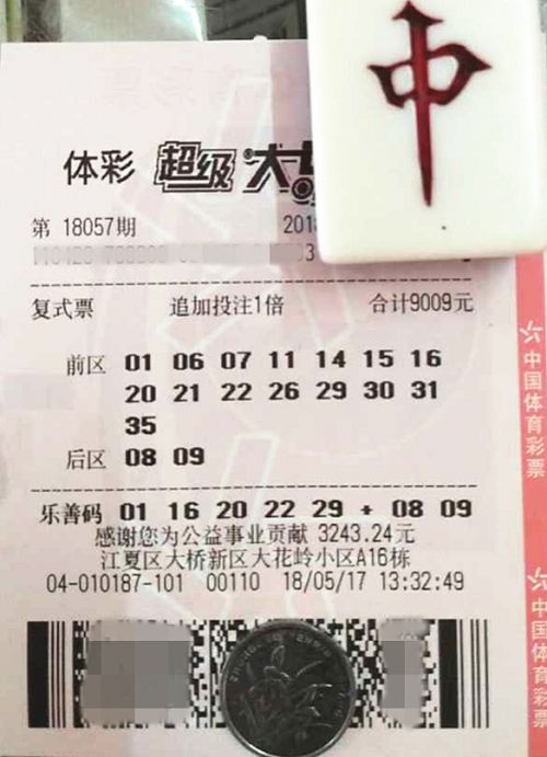 澳门六开彩开奖最新一期,澳门六开彩开奖最新一期，揭秘彩票背后的魅力与挑战