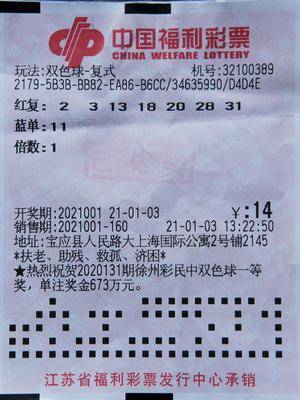新奥门天天开奖资料大全,新澳门天天开奖资料大全，探索彩票的魅力与奥秘