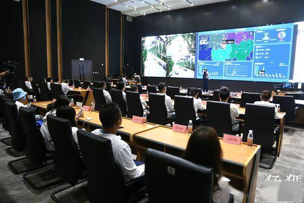 2025年正版四不像图,2025年正版四不像图，传统与现代的融合之美