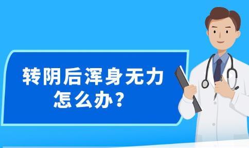 新澳精准资料期期精准24期,新澳精准资料期期精准24期，深度解析与预测