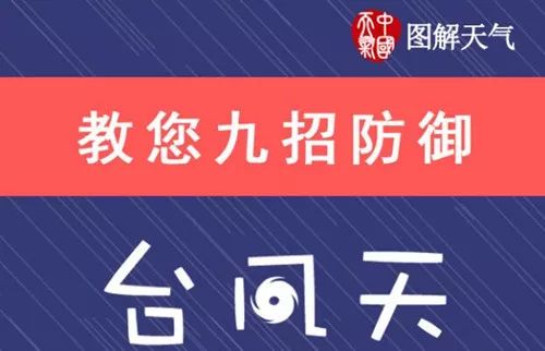 澳门今晚一肖必中特,澳门今晚一肖必中特，揭秘生肖彩票的魅力与策略