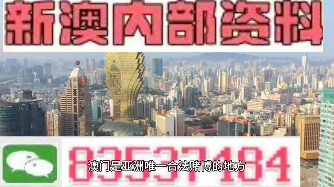 4949澳门精准免费大全2023,澳门精准免费大全2023年全新指南