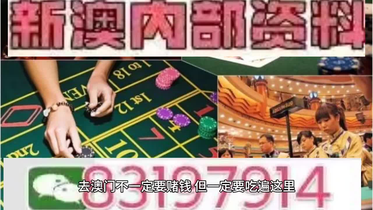 今天澳门特马开的什么,澳门特马今日开奖结果解析