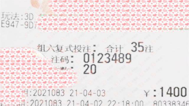 新澳门今晚开奖结果号码2023,澳门新一期开奖结果揭晓，探索2023年今晚的神秘号码