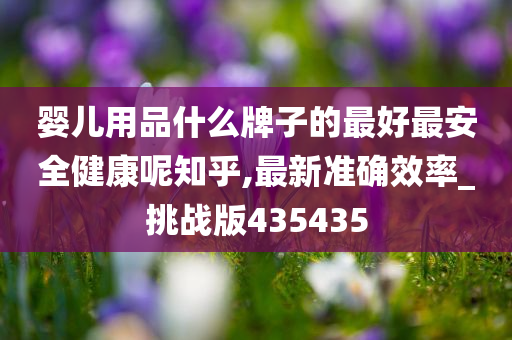 新澳2025年精准正版资料,新澳2025年精准正版资料，未来趋势与探索