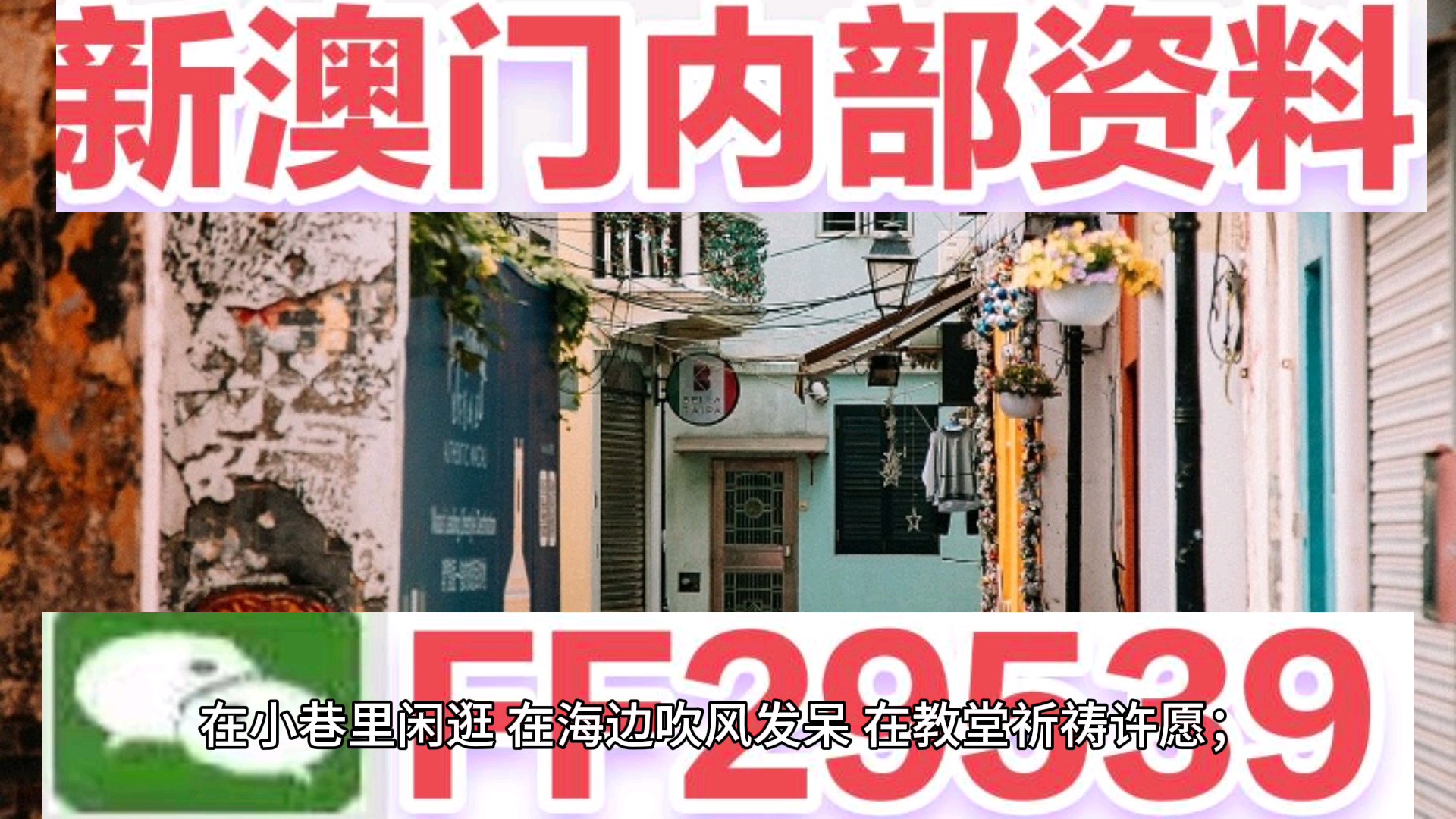 新澳门六开彩开奖结果近15期,新澳门六开彩开奖结果近十五期走势分析