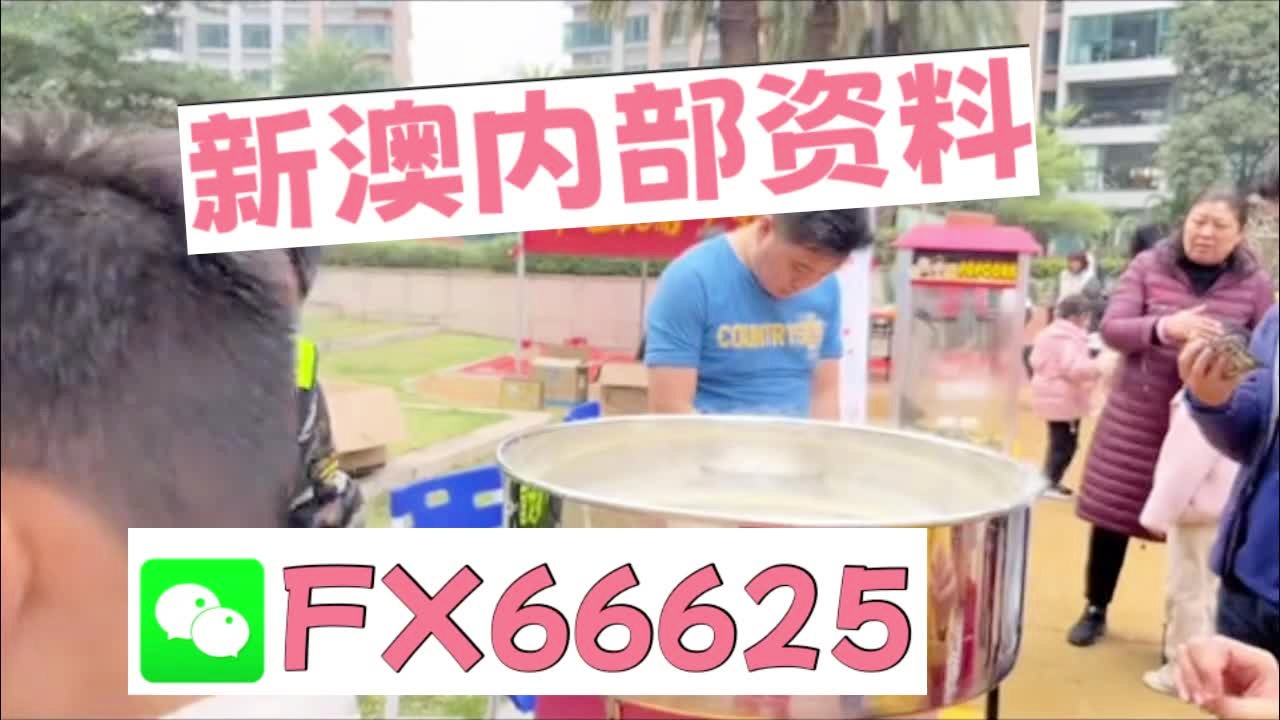 新澳2025正版资料大全,新澳2025正版资料大全——探索未来的科技与生活