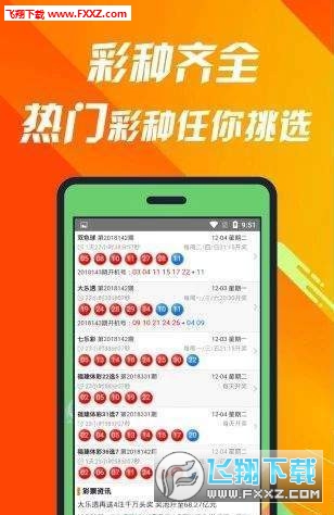 王中王493333中特1肖,王中王493333中特1肖，探索与解析