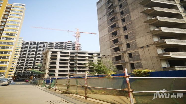 衡水东泽园最新消息