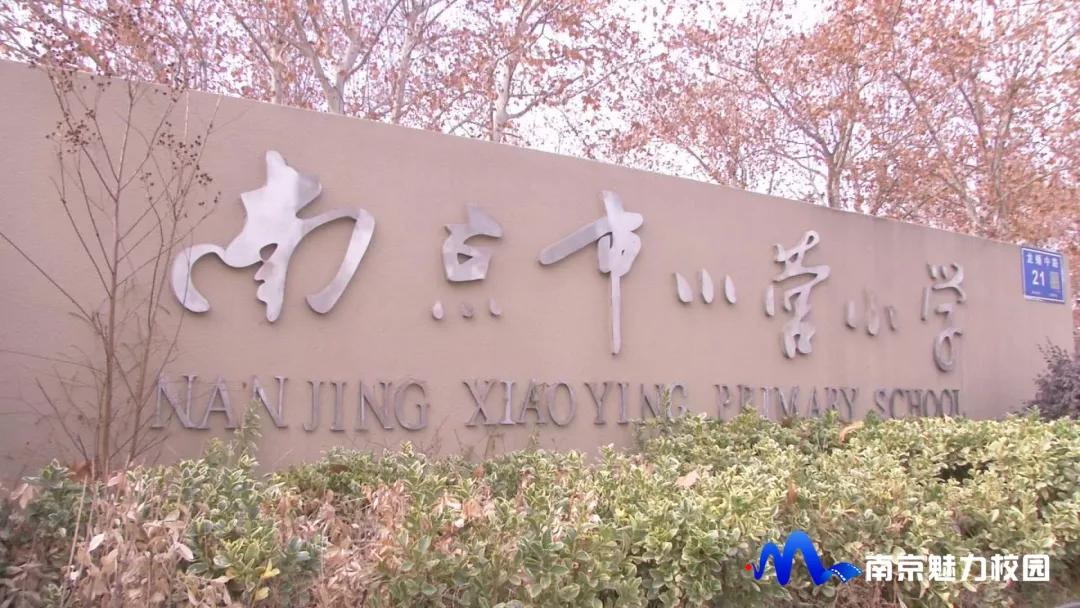 南京宁南小学最新消息