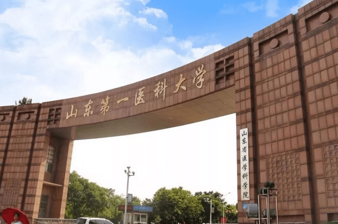 山东省双一流大学最新