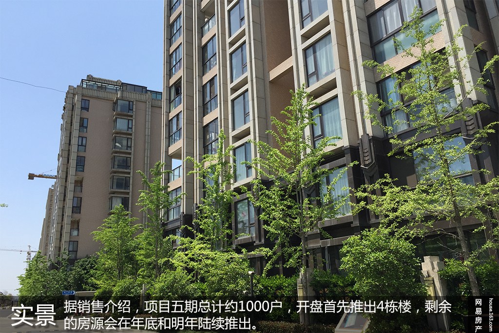 一品漫城五期最新价格