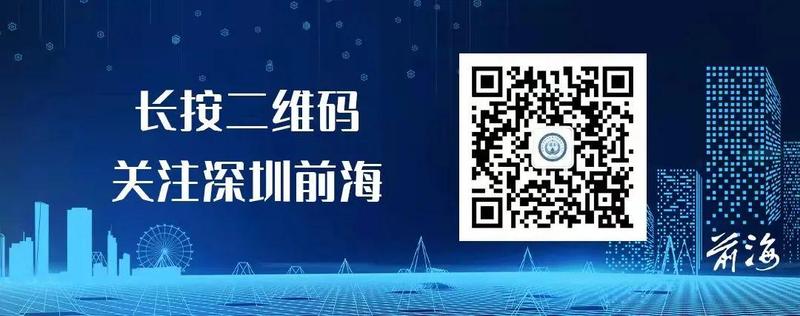 一肖一码一一肖一子深圳,一肖一码在深圳的独特魅力与探索之旅