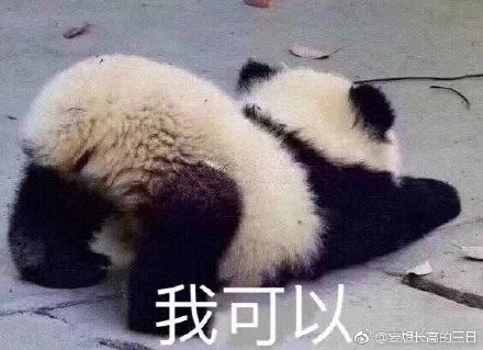 今晚四不像必中一肖图118,今晚四不像必中一肖图118，揭秘彩票预测的神秘面纱