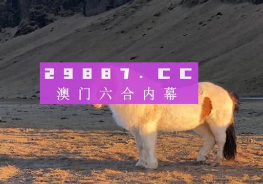 澳门今晚一肖一码1009995,澳门今晚一肖一码1009995的秘密与探索