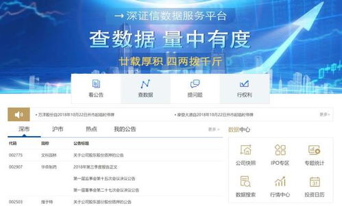新澳天天免费资料查询,新澳天天免费资料查询，探索与发现之旅