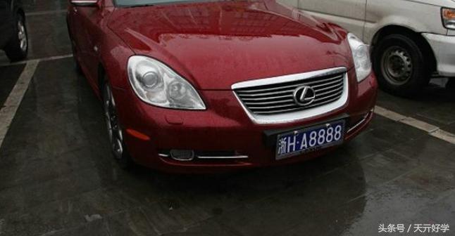 7777788888新版跑狗图,探索新版跑狗图，77777与88888的魅力交织