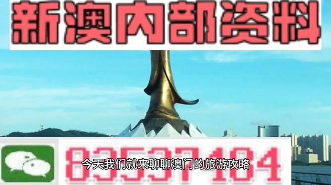 204年澳门免费精准资料,澳门免费精准资料，探索与解析（204年）