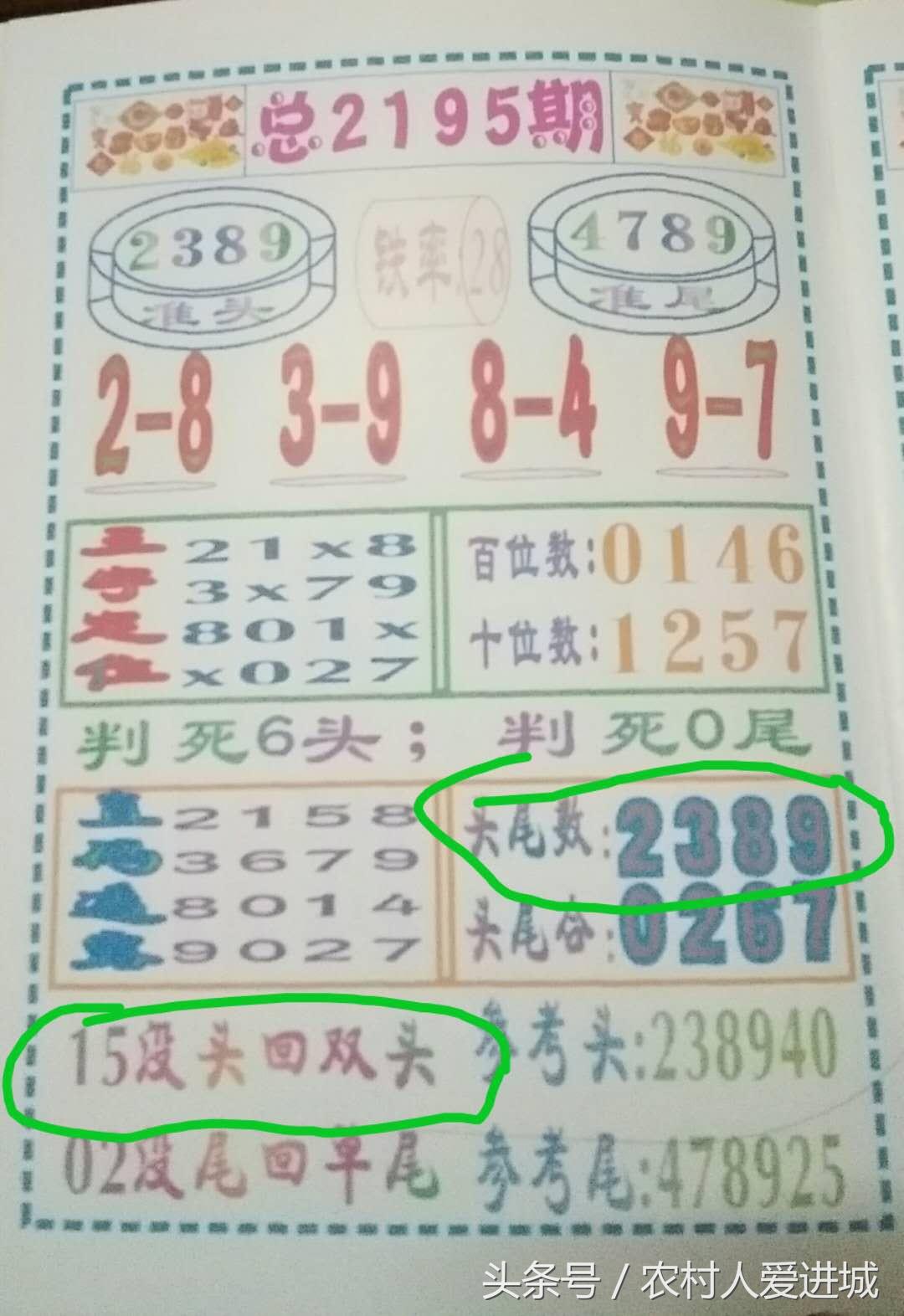 澳门今晚必开一肖期期,澳门今晚必开一肖期期，探索运气与策略的世界