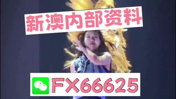 新澳门内部一码精准公开,新澳门内部一码精准公开的奥秘与探索