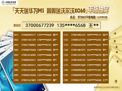 2025天天彩正版免费资料,探索正版之路，2025天天彩免费资料的价值与意义