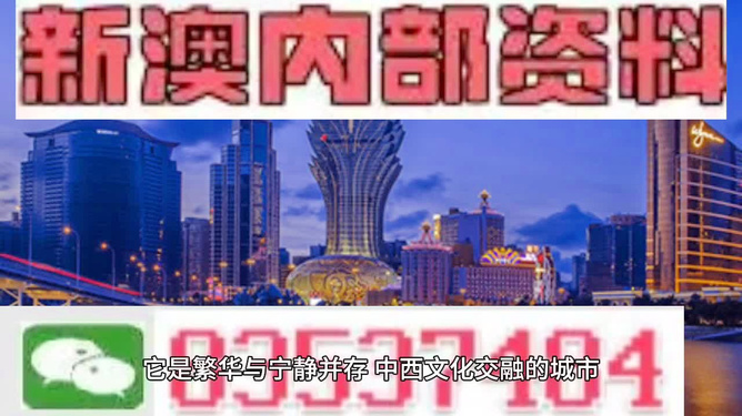 新澳2025今晚王中王免费资料,新澳2025今晚王中王免费资料揭秘与深度解析