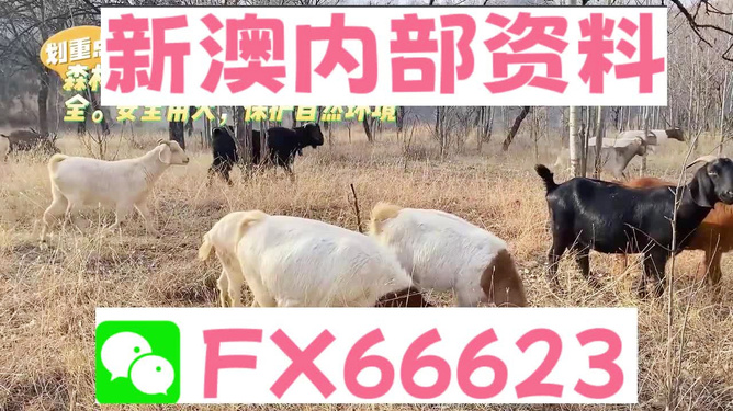 新澳今天最新兔费资料,新澳今天最新兔费资料，探索与发现