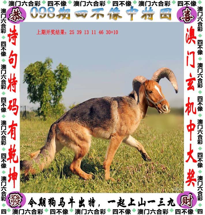 四不像今晚最准确一肖,四不像与最准确的生肖预测