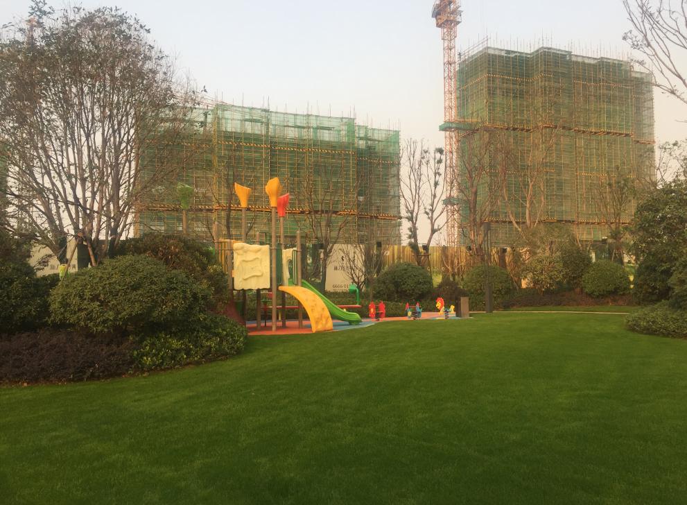 新澳内部资料最准确,新澳内部资料最准确，深度解析与实际应用
