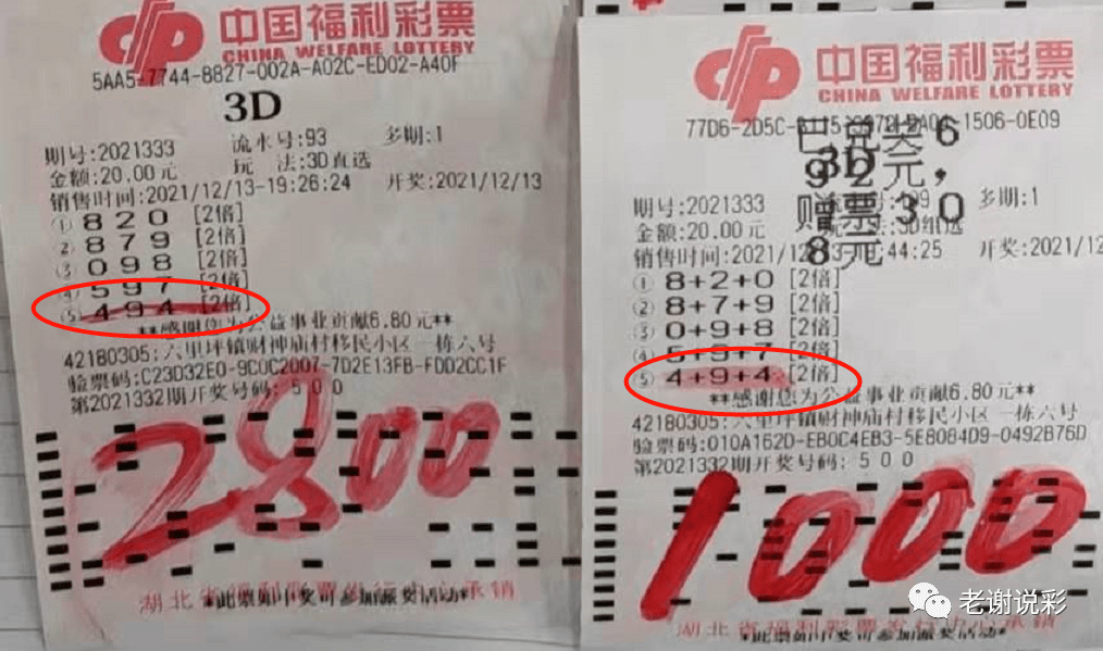 新奥门天天彩资料免费,新澳门天天彩资料免费，探索彩票文化的魅力与乐趣