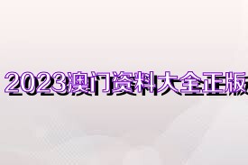 新澳门资料大全正版资料2023,澳门新资料大全正版资料2023，探索与解读