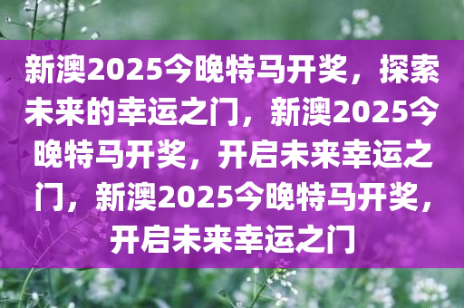 2025今晚新澳开奖号码,探索未来幸运之门，2025今晚新澳开奖号码揭秘