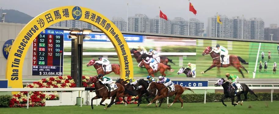 马会香港7777788888,马会香港，探索赛马文化的魅力与数字传奇7777788888