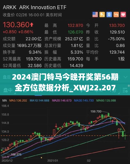 2025年澳门特马今晚,探索澳门特马的未来之路，2025年的展望