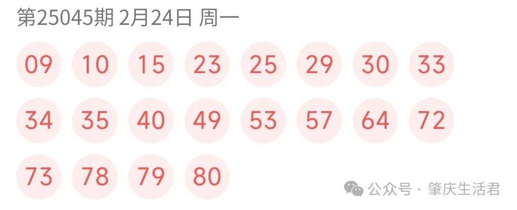 澳门六开奖结果2025开奖记录今晚直播视频,澳门六开奖结果2025年开奖记录今晚直播视频，探索彩票背后的故事