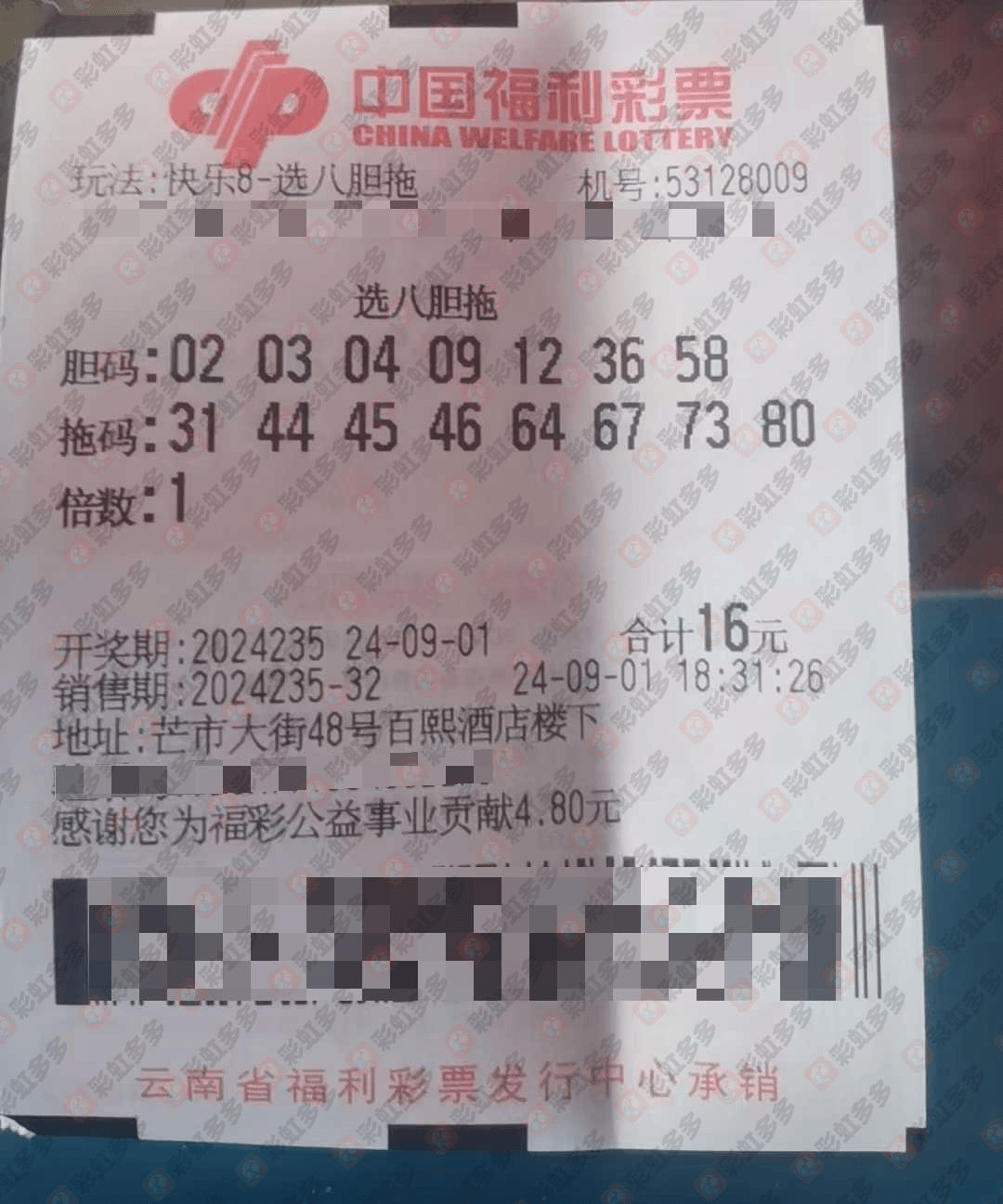 资讯 第80页